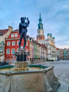 Apolla 34, Poznań